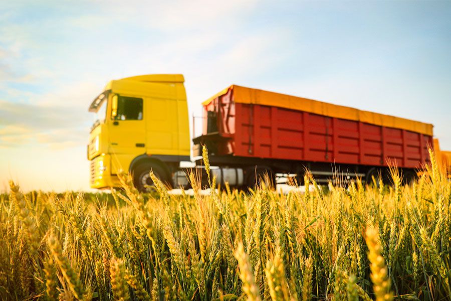 Transportation company uses Xpress PLC to automate grain terminal Transportation company uses Xpress PLC to automate grain terminal